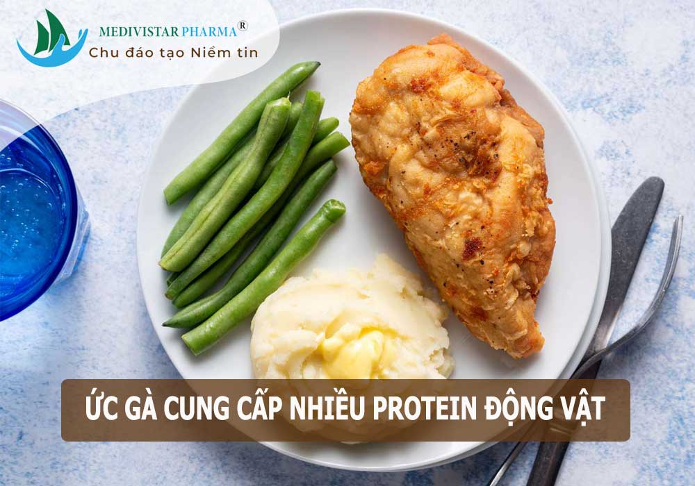 thực phẩm giàu protein từ ức gà